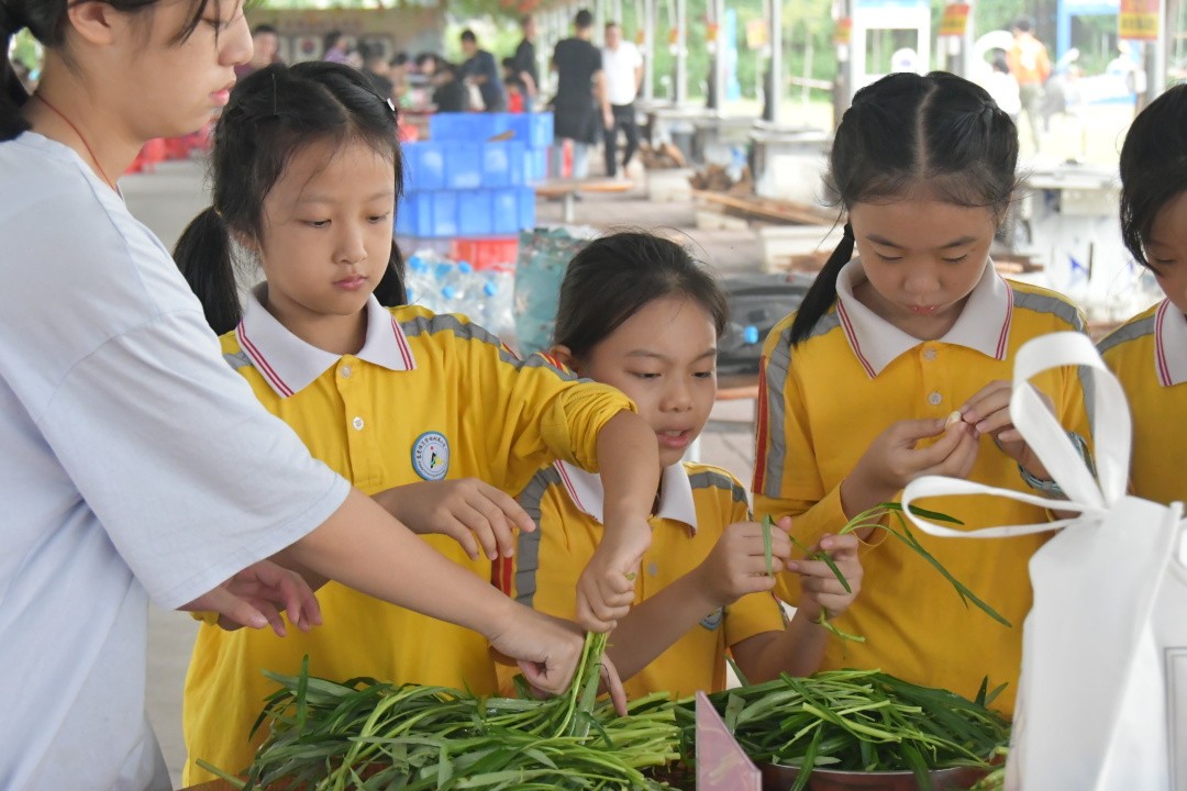 莞师附小407班亲子丨快乐有趣无极限,学习成长看得见