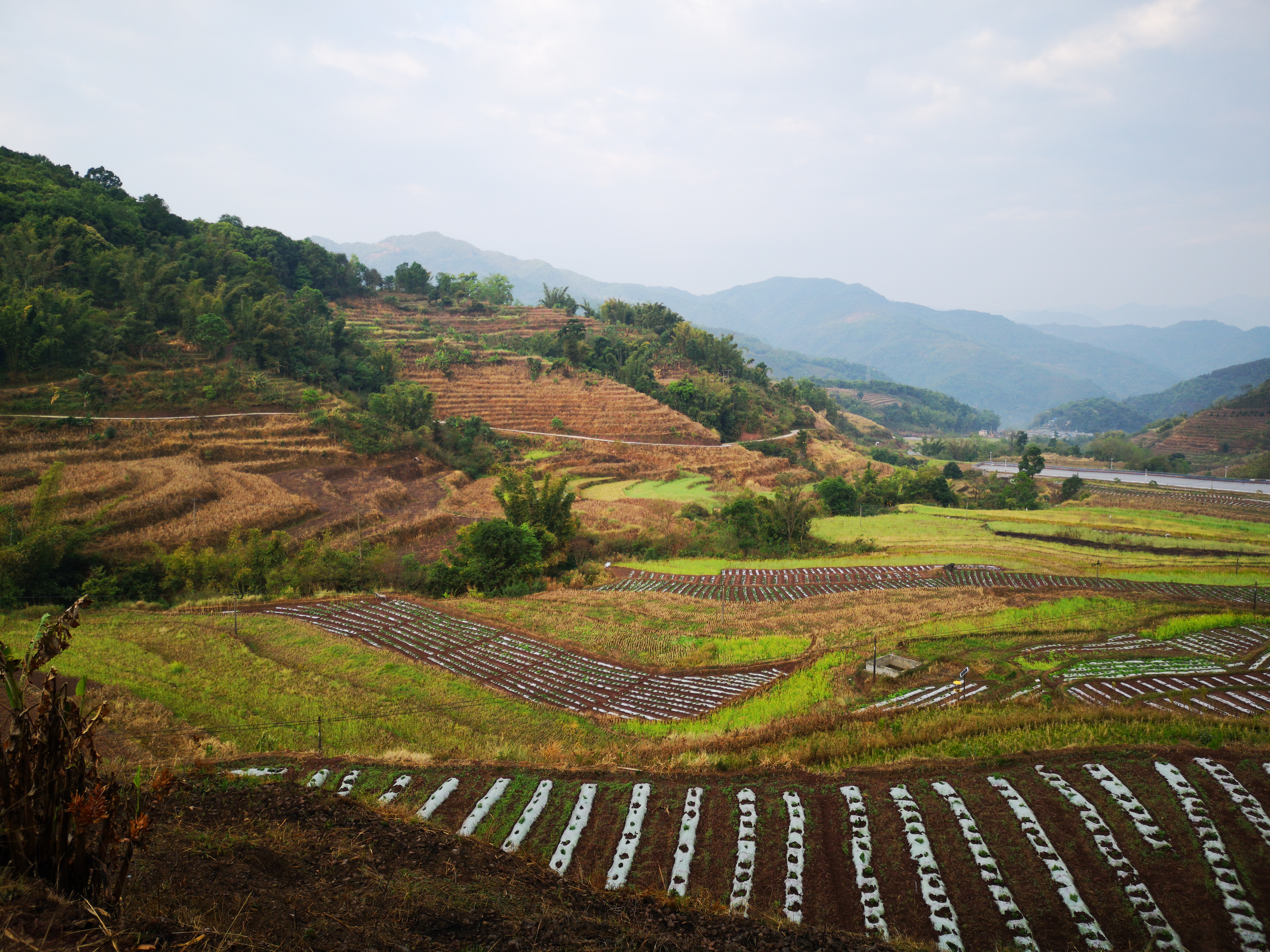 云南自驾两个月攻略,昆明出发云南自驾游最佳路线图