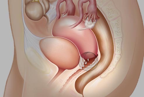 *处私**真的能美白、紧致？这篇文章告诉你