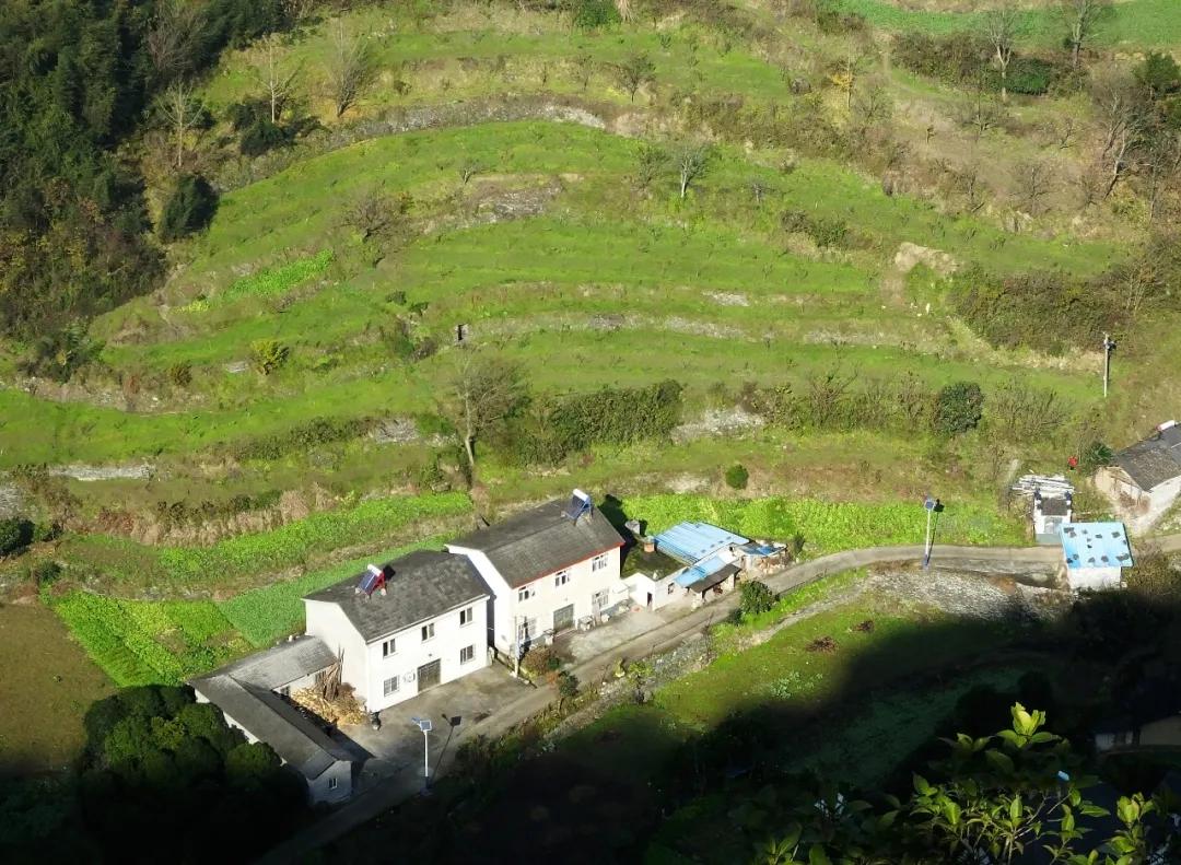 契税法9月1日起施行,契税法自2021年几月起施行