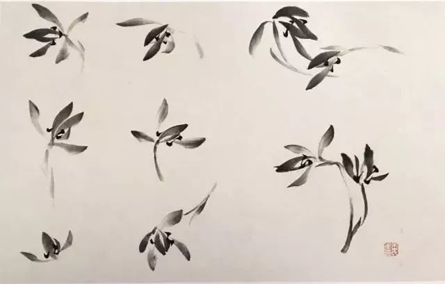 如何画兰花图片大全大图,怎么样画兰花才能好看