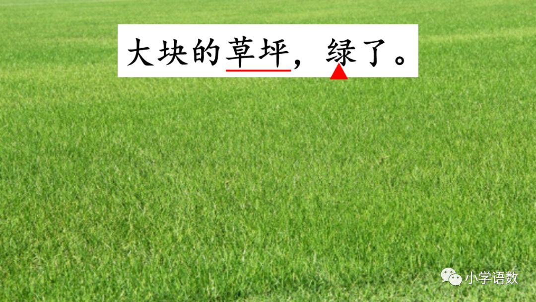 二年级下册语文彩色的梦教学视频,二年级语文下册彩色的梦教材全解