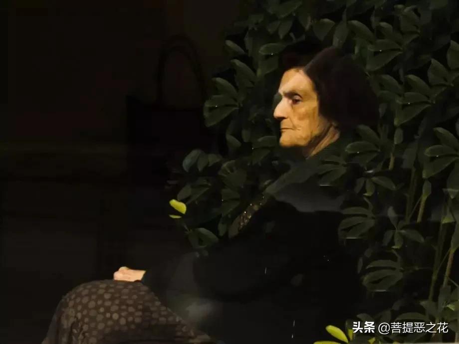 相爱后动物感伤介绍,相爱后的动物感伤时代