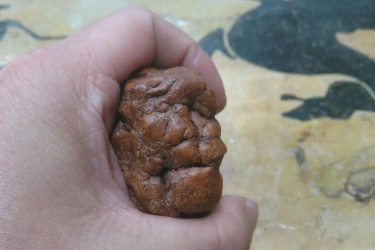 内蒙阿拉善9500万玛瑙奇石,20年前9600万的奇石现在值多少钱