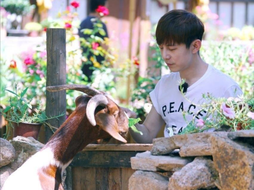 起底的商业版图,何炅餐饮店