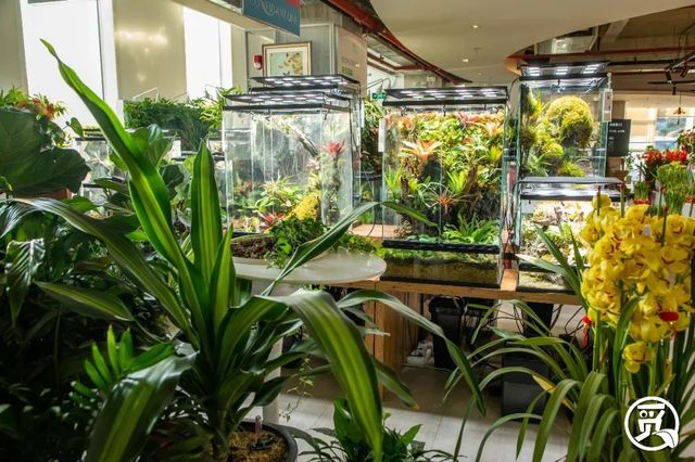 深圳花店有什么花,深圳龙华花店订花送花