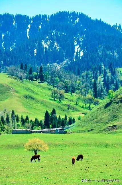 治愈系风景一辈子总要去一次新疆,去新疆的路上看不一样的风景