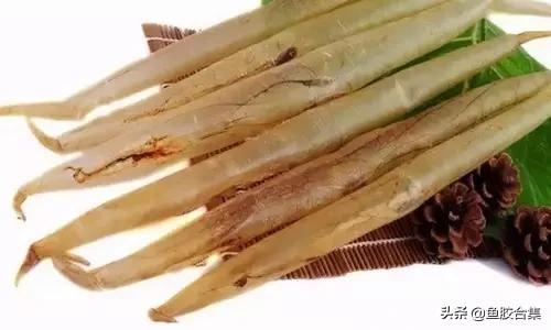 花胶的种类和区别,花胶一共有几种类型的品种