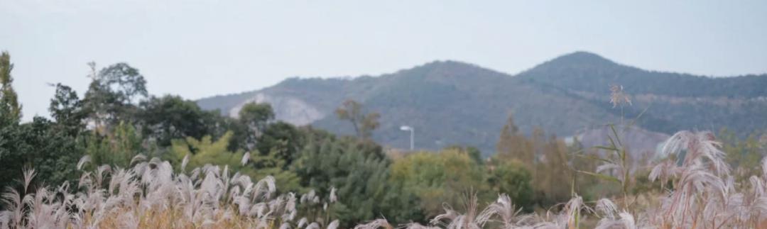 南京汤山青林社区皮划艇,南京汤山哪里可以玩皮划艇