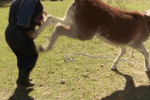 云南方言独特的字,云南方言常用字