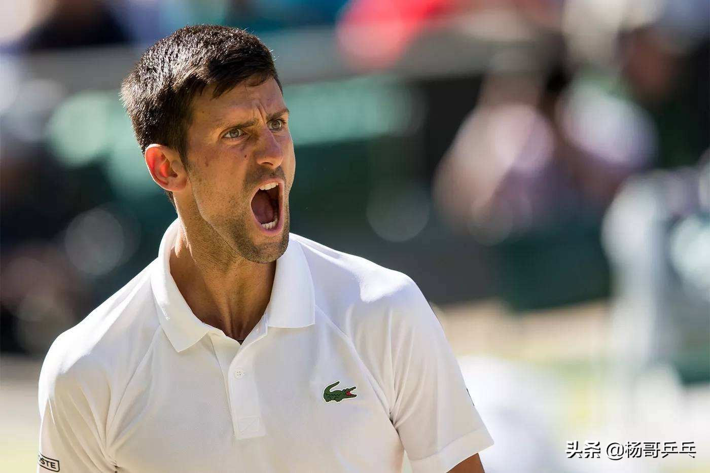 德约误伤裁判完整视频,德约发泄不满直接判负视频