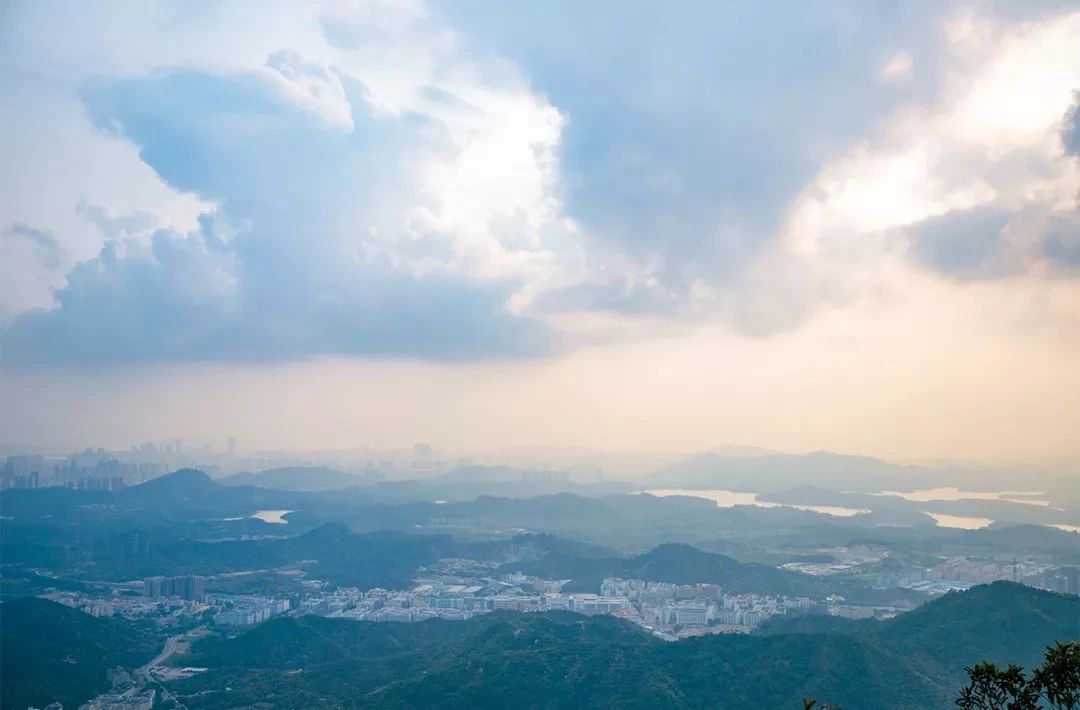 放假在深圳能去哪里玩,放假了可以去深圳的哪些地方玩