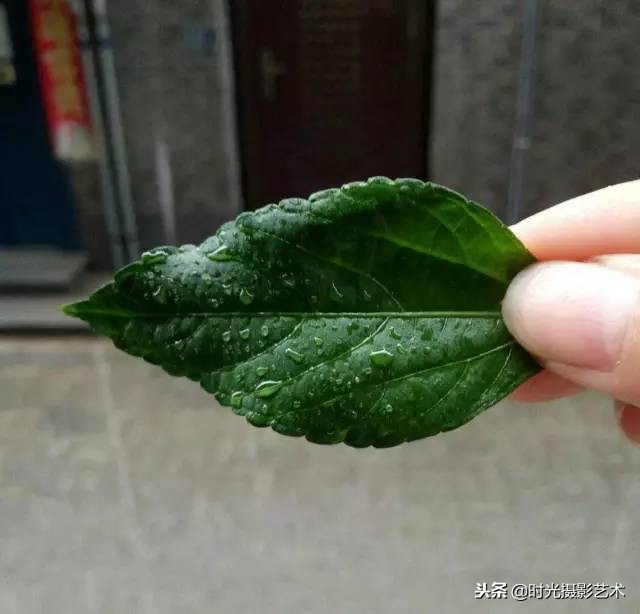 手机摄影创作后期教程,手机摄影的光影技术