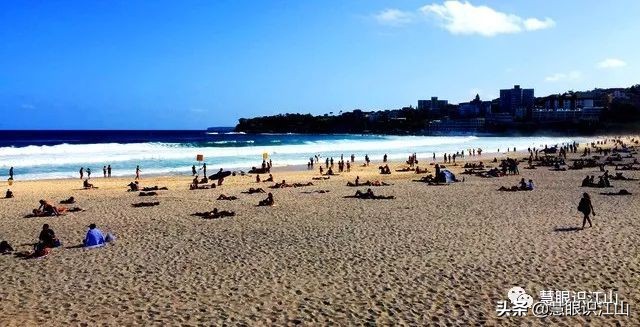悉尼邦迪海滩,悉尼邦迪海滩新闻