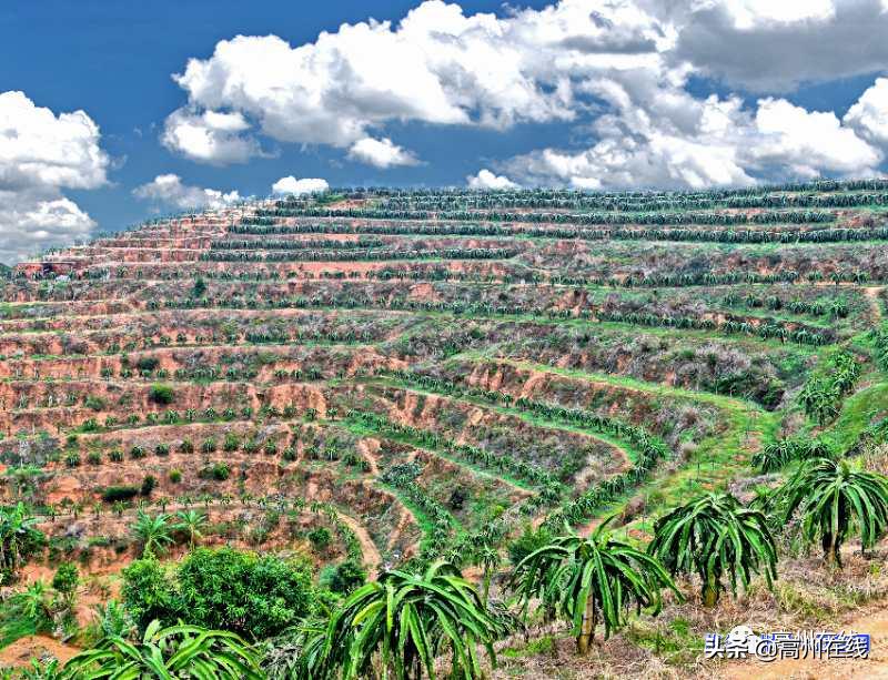 高州长坡镇蹄疾步稳搞建设，文化古镇焕新颜