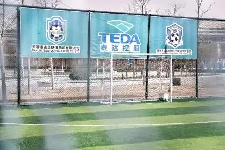 金元足球最大的缺点,江苏金元足球队