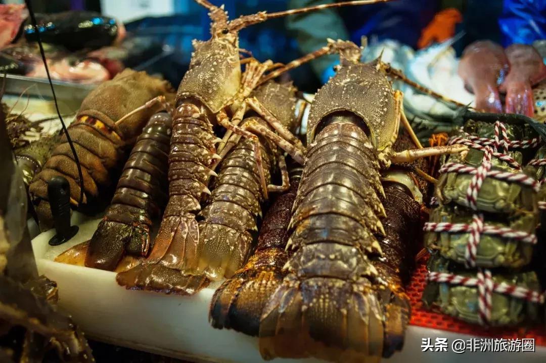 深入了解一座城市的方法，LP又帮你找到了一个