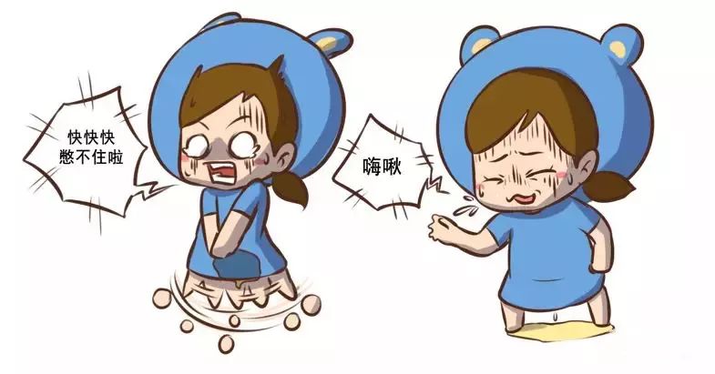 每个女人的盆底肌都松驰吗,女性盆底肌位置