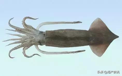 硬核科普全部,硬核科普大全视频