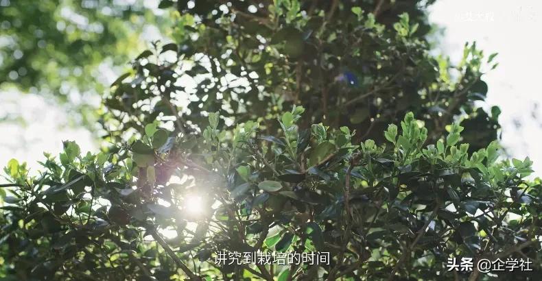 中式风格千万豪宅,中式家居豪宅