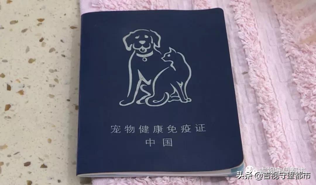 长春养犬管理条例是什么,长春市养犬证办理流程