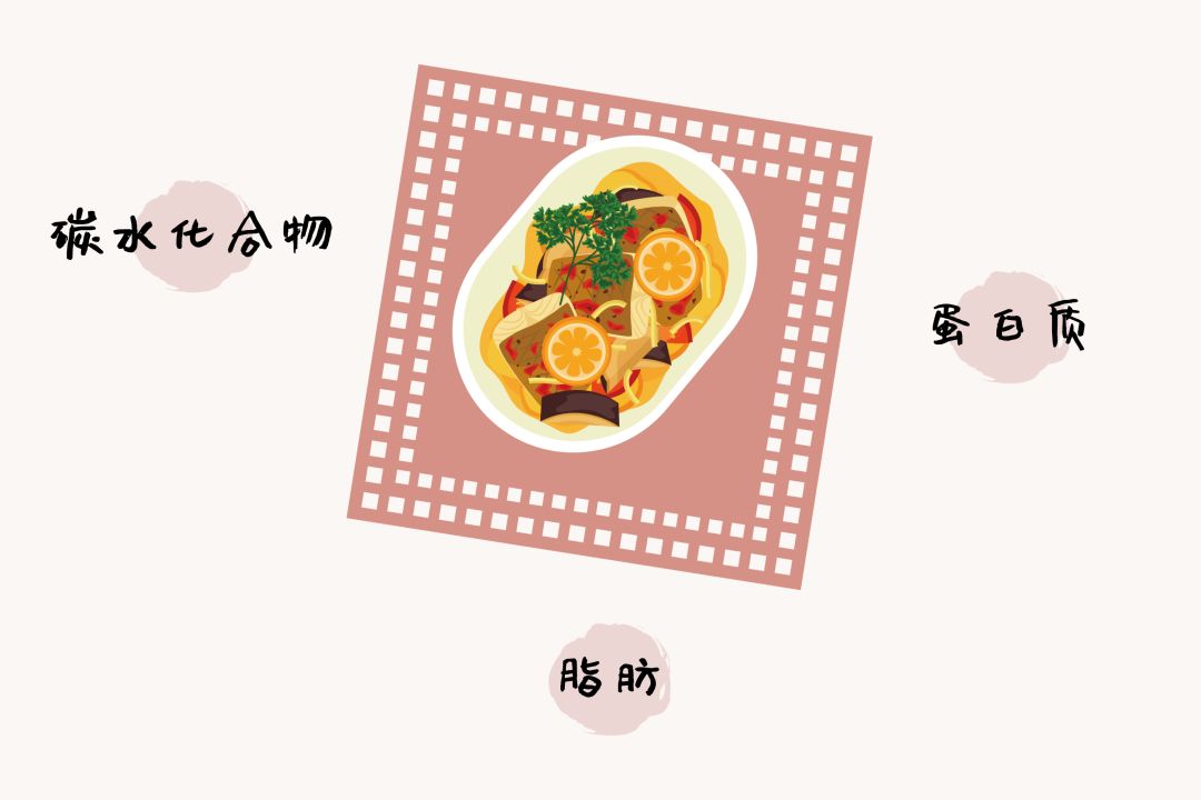 高碳水主食和高脂肪主食有什么,蛋白质碳水脂肪摄入合理的食谱