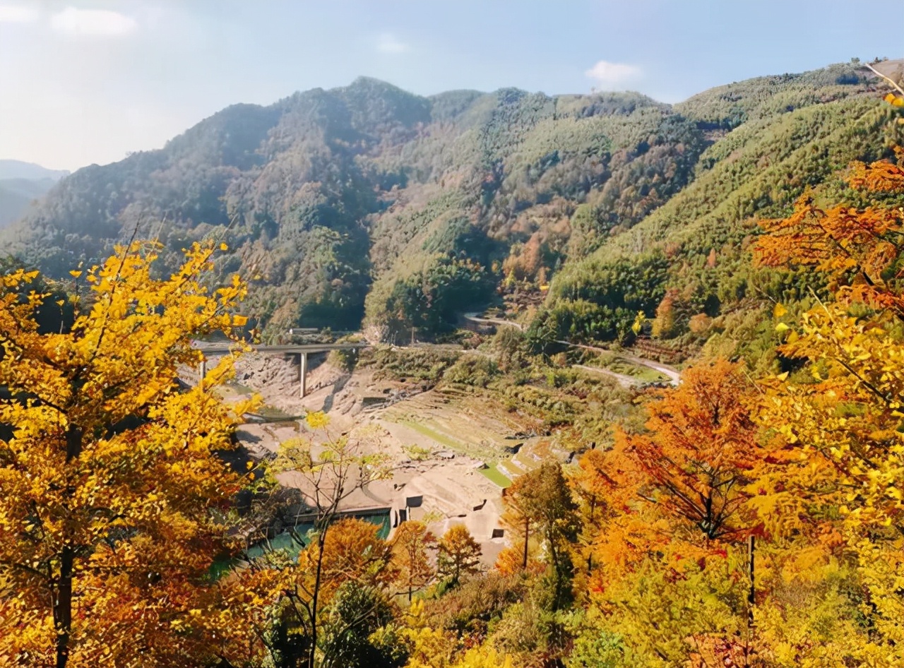宁波免费小众点的帐篷烧烤好去处,宁波露营过夜的好地方