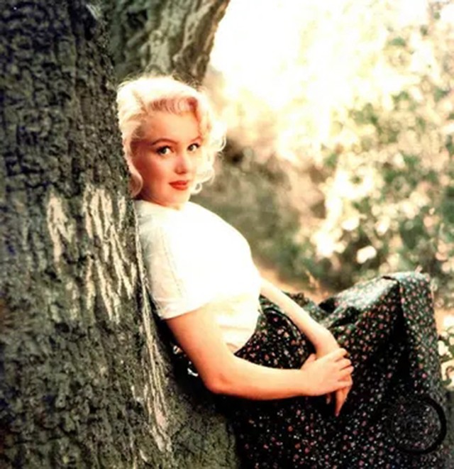 日本医生解剖梦露尸体，声称：心脏和肝脏都没有异常，非常干净