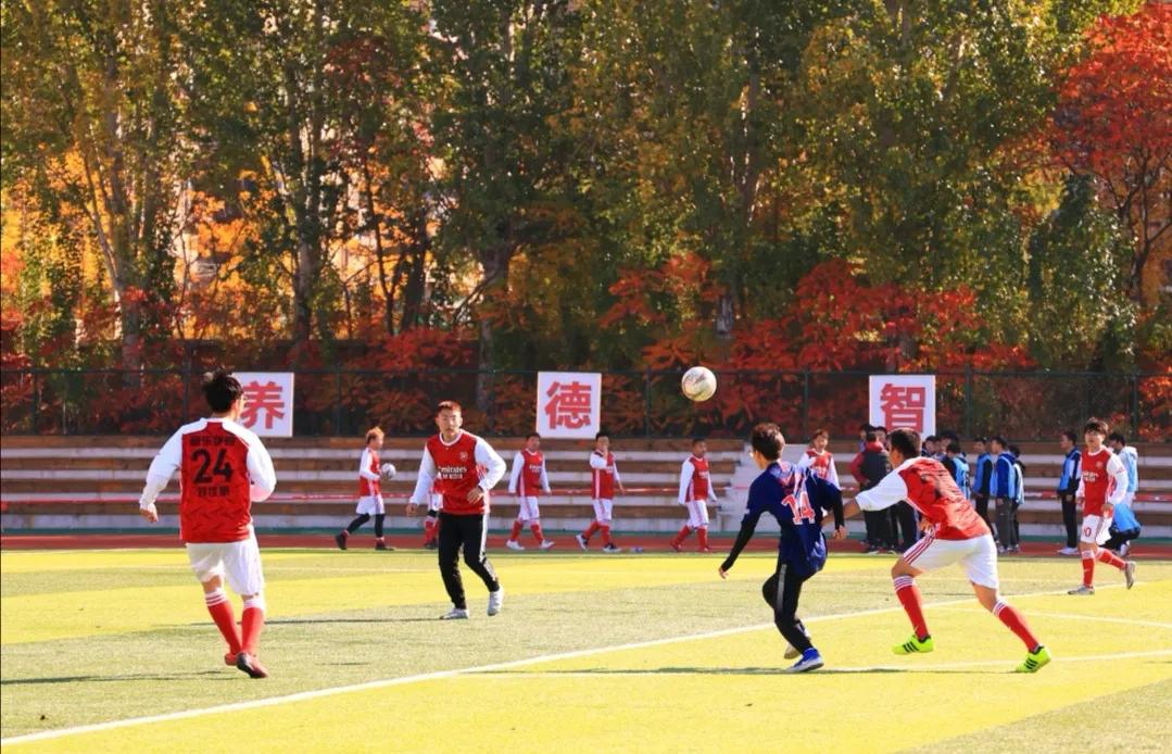 飞扬吧,青春——记鞍山师范学院“阳光体育节”