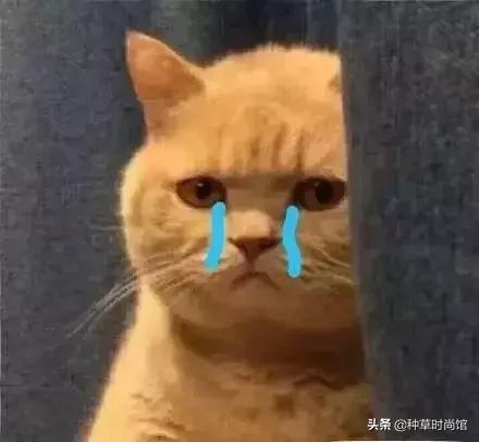 港货屈臣氏最值得买的护肤品,屈臣氏里面有什么值得买的