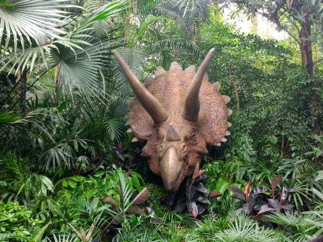 广州长隆野生动物世界二日游,广州长隆野生动物世界步行游览区