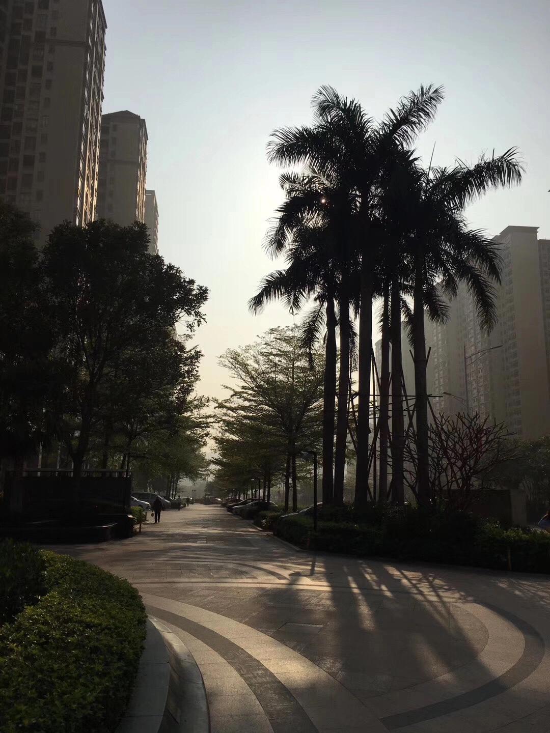 不失眠但多梦睡眠质量差怎么办,失眠多梦耳鸣睡眠浅怎么治疗