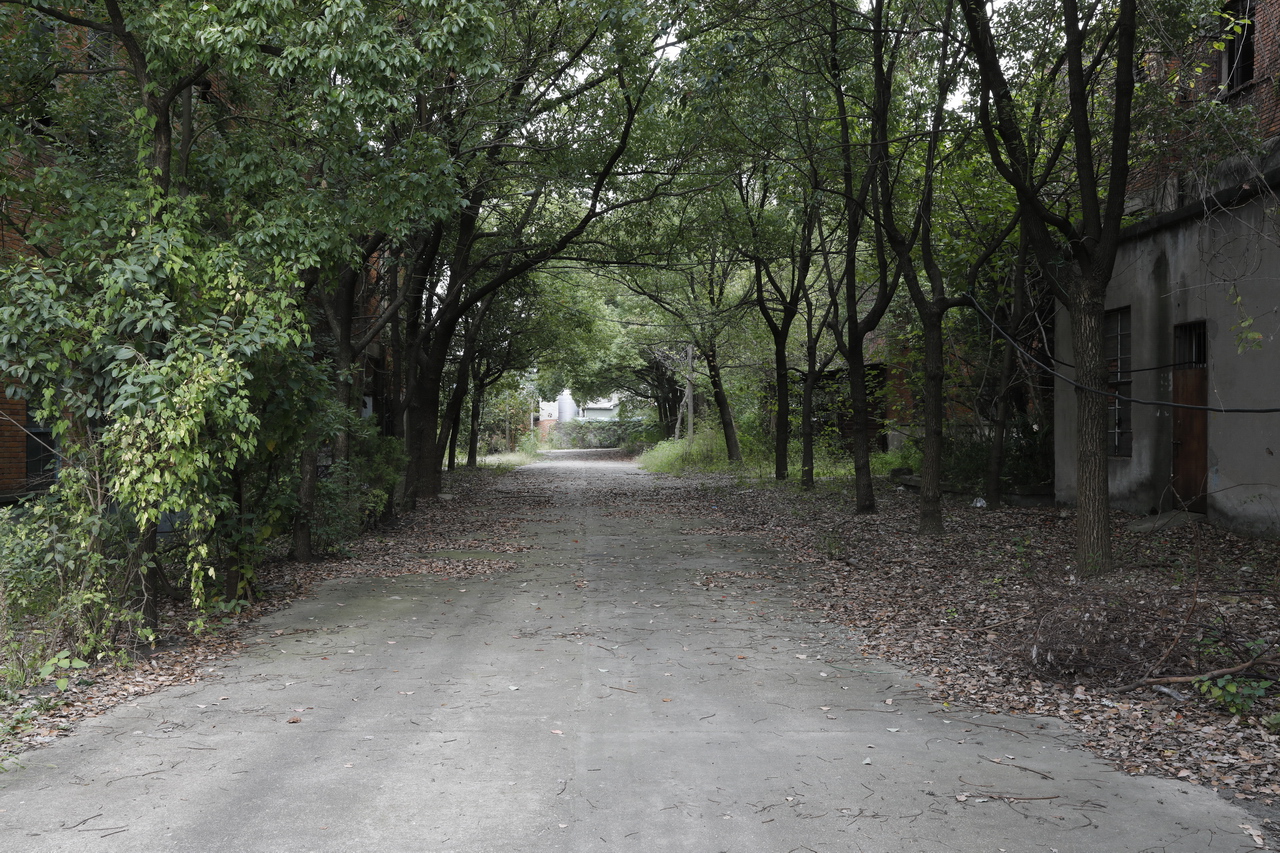 武汉东西湖产的雪花啤酒,东西湖雪花啤酒厂2015年
