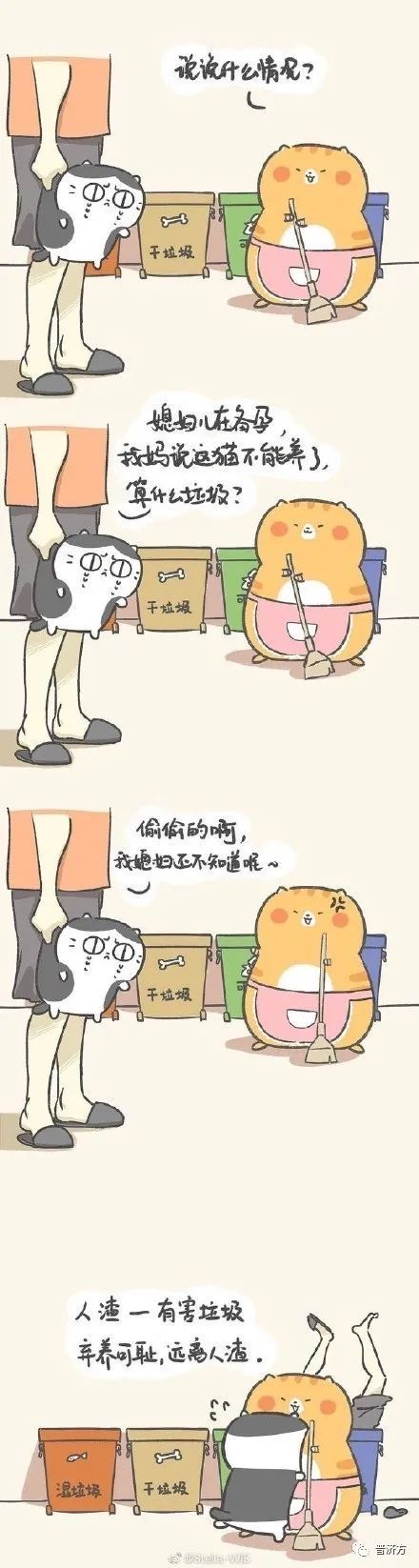 怀孕真的不能养猫养狗吗,怀孕不可以养老鼠吗