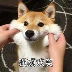 小天才手表为啥比华为小米贵,小天才跟华为手表一模一样的手表