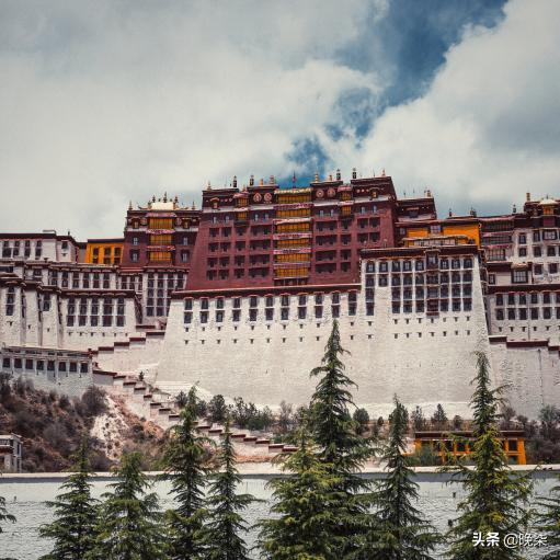 揭秘青藏高原挖虫草,探秘藏民挖虫草