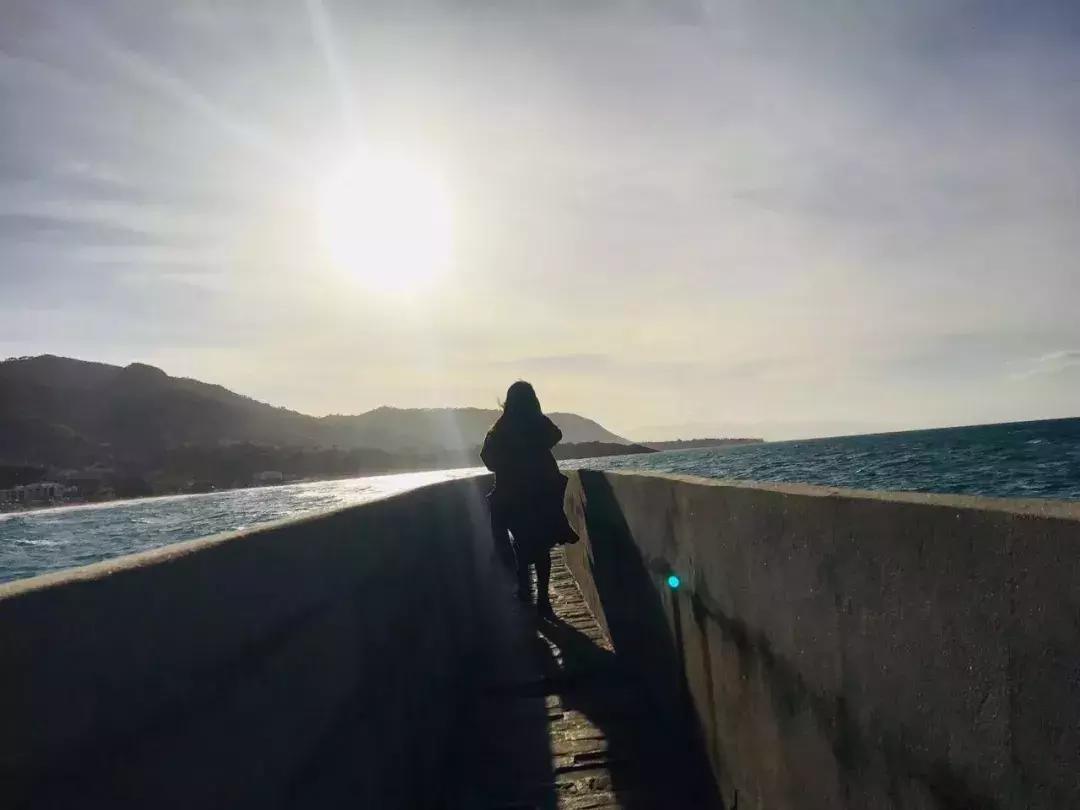 六年旅行者,国六旅行者