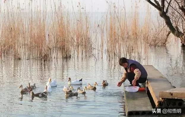 江苏旅游西山岛攻略图文,内湖洞庭西山岛