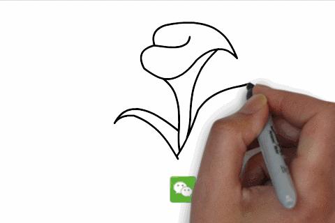 零基础教孩子画简笔画,适合新手的简笔100幅画