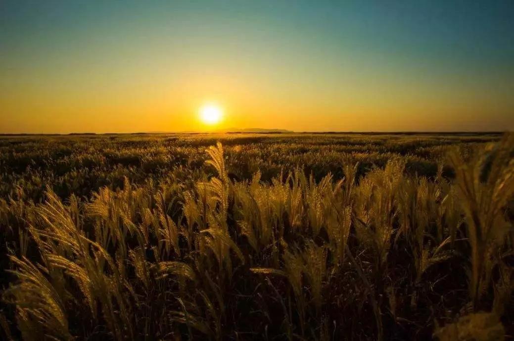 关于月的10首诗,以月为意象的十首诗