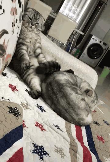 穿恨天高坐地铁的社死现场，两位男士都不忍看这次“崴脚表演”