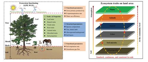 地理资源所等提出生态系统性状新概念体系