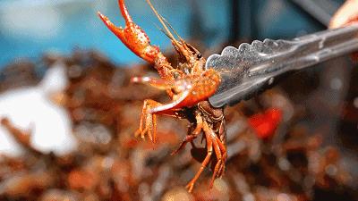 盒马特价商品还打88折吗,盒马9折