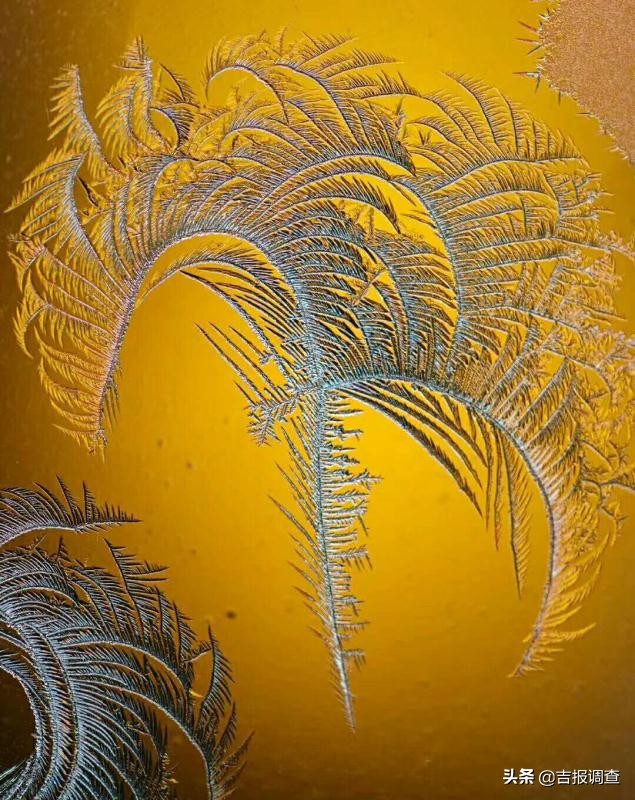 玻璃窗上的霜花像什么,玻璃上的霜花是什么样子