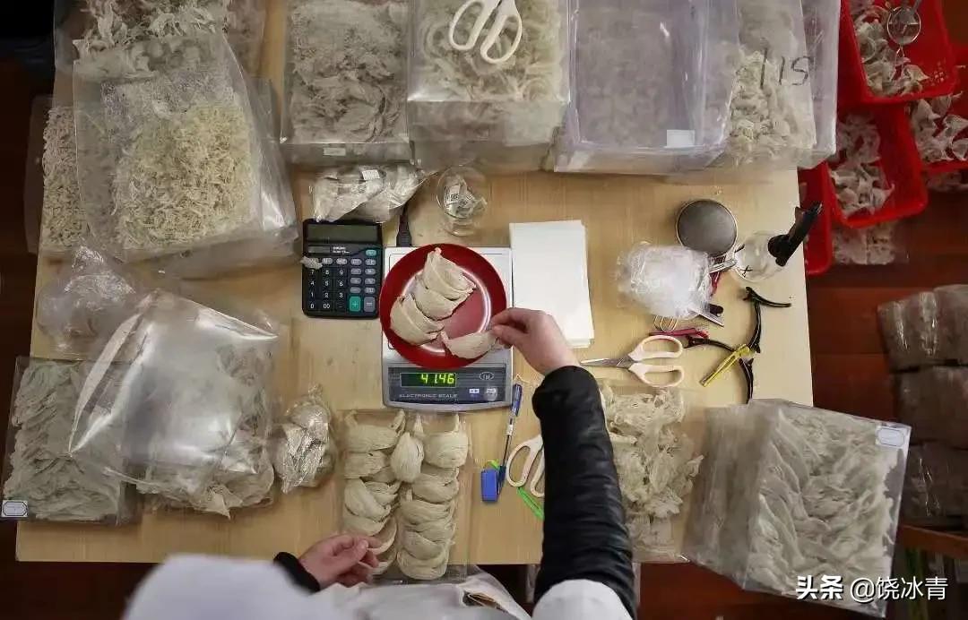 燕窝到底有多坑,燕窝是不是坑人的