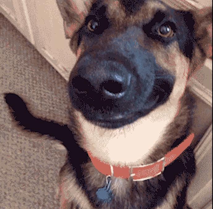 2020年面膜十大品牌,前十销量面膜