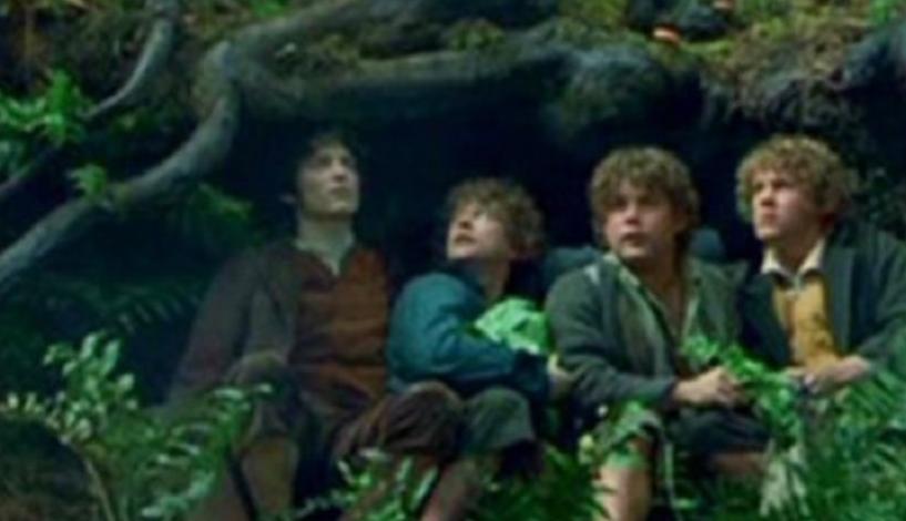 好莱坞十部顶级神作9.5评分电影,十部顶级神作9.5评分电影好莱坞