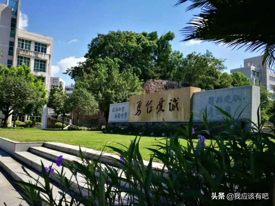 广东省梅县东山中学,广东梅县东山中学本科率