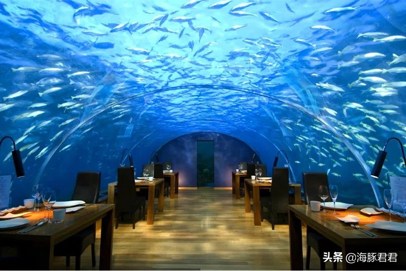 2020马尔代夫最全旅游购物攻略