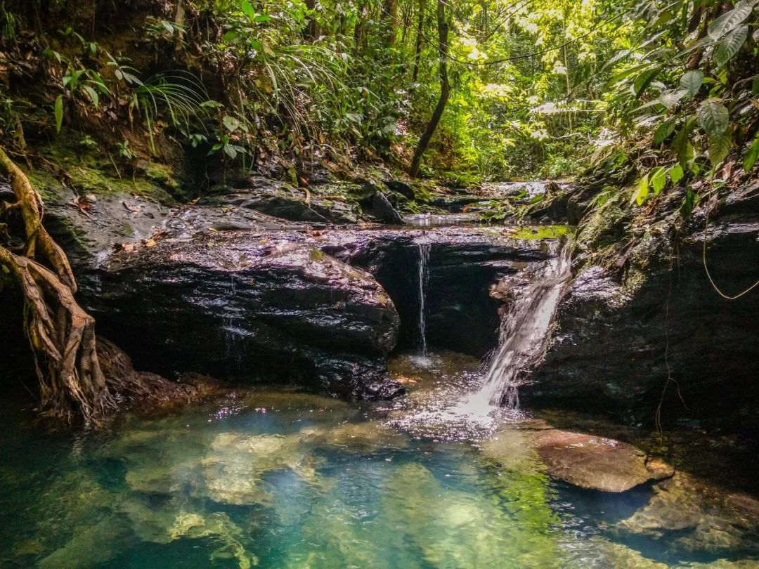 用黄金做房顶，人均5辆车，这个东南亚神秘国度比阿联酋还土豪